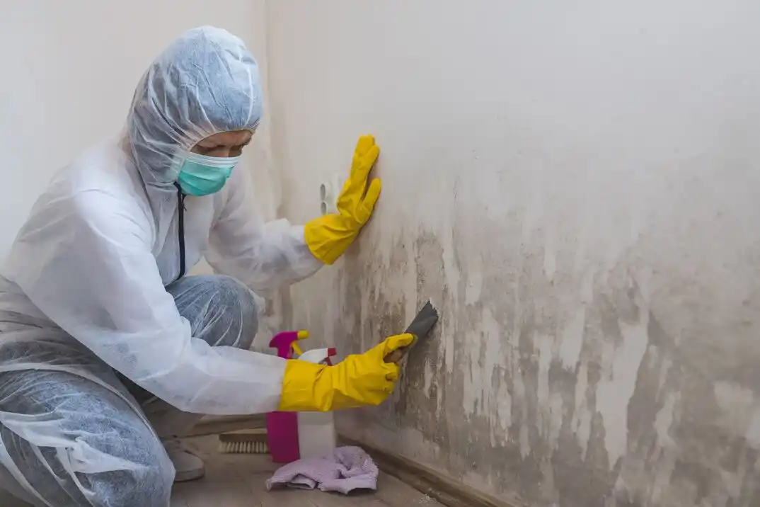 water damage restoration service Whittier Creek